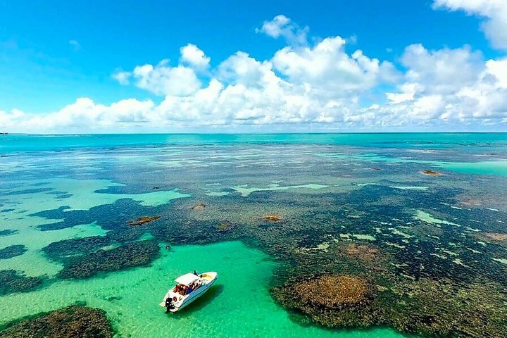 Paripueira Alagoas fonte: dynamic-media-cdn.tripadvisor.com Fonte: dynamic-media-cdn.tripadvisor.com